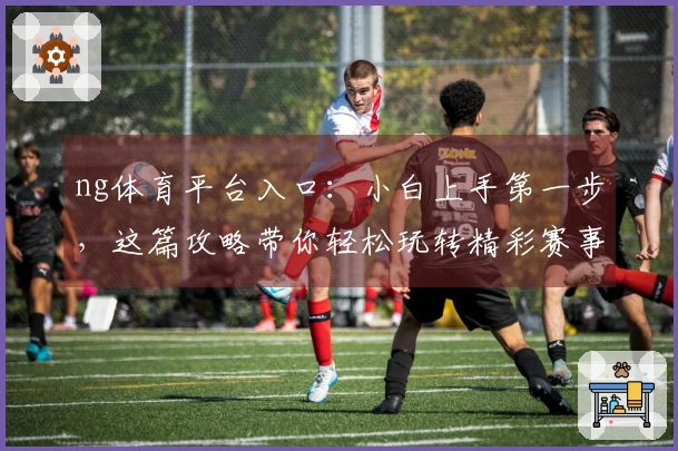 ng体育平台入口：小白上手第一步，这篇攻略带你轻松玩转精彩赛事！
